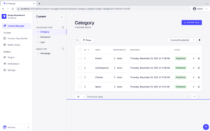 strapi interface