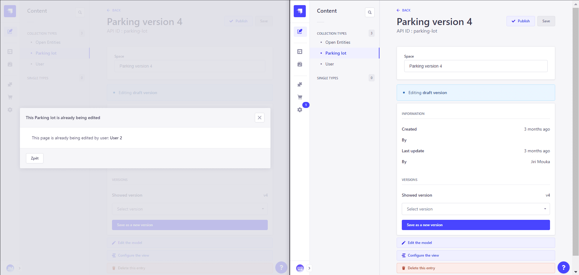 Notum STRAPI Plugin Record locking